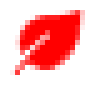 red_leave.png